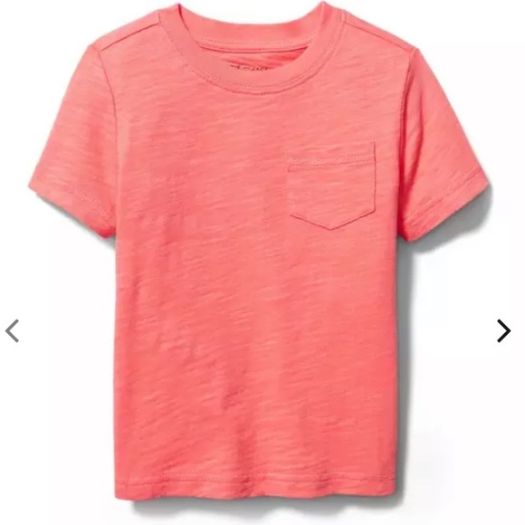 Janie and Jack Other - NWT- Melon T-Shirt by Janie and Jack 6T